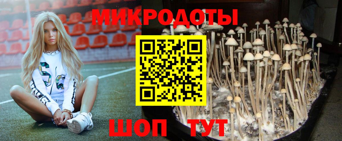 Галлюциногенные грибы MAGIC MUSHROOMS Абакан