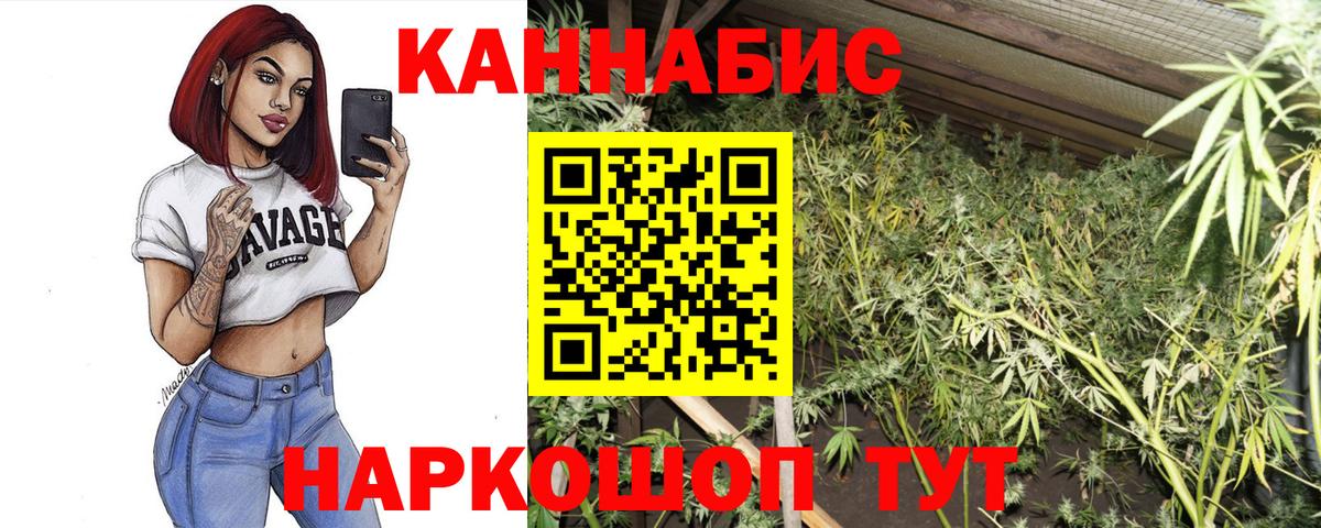 МАРИХУАНА ГИДРОПОН Абакан